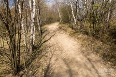 img_2420