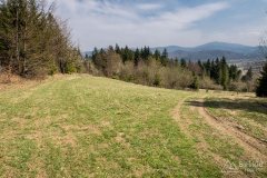 img_2421