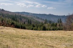 img_2424