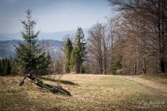 img_2426
