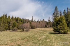 img_2428