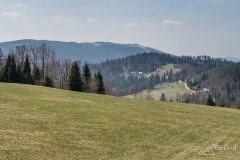 img_2429
