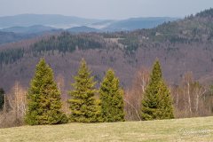img_2430