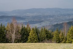 img_2431