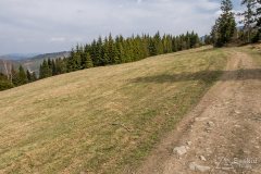 img_2432