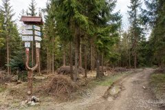 img_2439