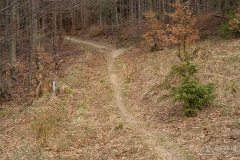 img_2441
