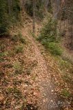 img_2443