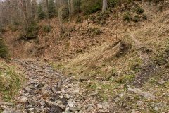 img_2444