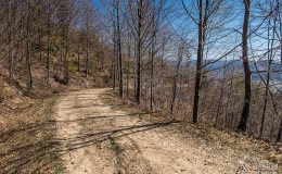 img_2464