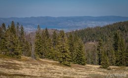 img_2483