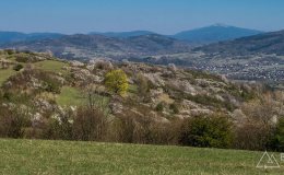 img_2488