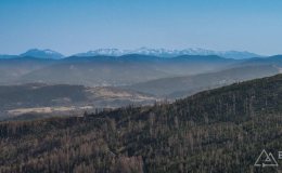 img_2503