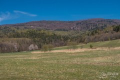 img_2513-kopia