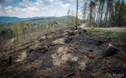 Na grzbiecie Porębskiego Gronia