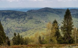 Widok z Kiczery na północ