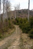 Czerwony szlak pomiędzy Kocierzem na Przełęczą Przysłop Cisowy