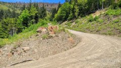 Początek szutrowego podjazdu ze Szczyrku pod Klimczok