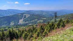 Z zielonego szlaku pod Magurą