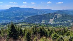 Z zielonego szlaku pod Magurą