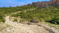 Siodełko pomiędzy Klimczokiem a Trzema Kopcami