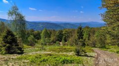 Okolice narciarskiego szlaku pod Trzema Kopcami.