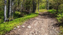 Okolice narciarskiego szlaku pod Trzema Kopcami.