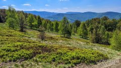 Okolice narciarskiego szlaku pod Trzema Kopcami.