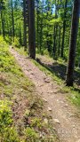 Czerwony szlak pomiędzy Przełęczą Karkoszczonka a Hyrcą