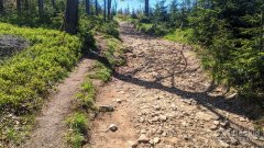 Na czerwonym szlaku pomiędzy Hyrcą na Przełęczą Salmopolską