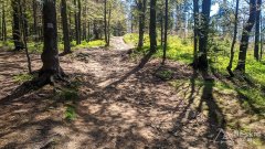 Na czerwonym szlaku pomiędzy Hyrcą na Przełęczą Salmopolską