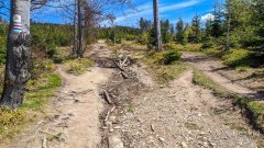 Podjazd pod Malinowską Skałę