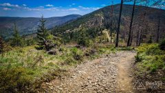 Podjazd pod Malinowską Skałę