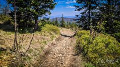 Podjazd pod Malinowską Skałę