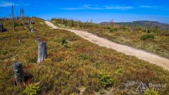 Podjazd pod Malinowską Skałę