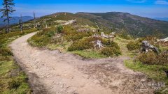 Podjazd pod Malinowską Skałę