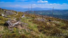 Okolice Malinowskiej Skały