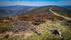 Pod Małym Skrzycznem