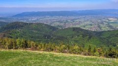 Widok spod Skrzycznego na Beskid Mały
