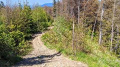 Czerwony szlak ze Skrzycznego do Buczkowic