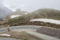 Dolomity_urlop_2020-01-26