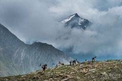 Dolomity_urlop_2020-01-28