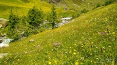 Dolomity_urlop_2020-01-34