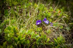 Dolomity_urlop_2020-03-19