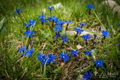 Dolomity_urlop_2020-06-03