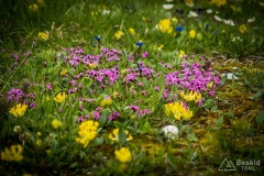 Dolomity_urlop_2020-06-06