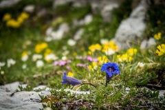 Dolomity_urlop_2020-06-19