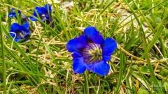 Dolomity_urlop_2020-06-22