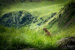 Dolomity_urlop_2020-10-36