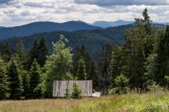 Widok z Hali Krawcula na południe (Mała Fatra)